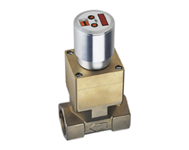 패들 유량계/스위치 DPT-..C3