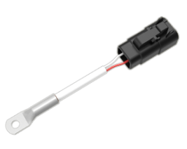 Thermometer Version (installed)